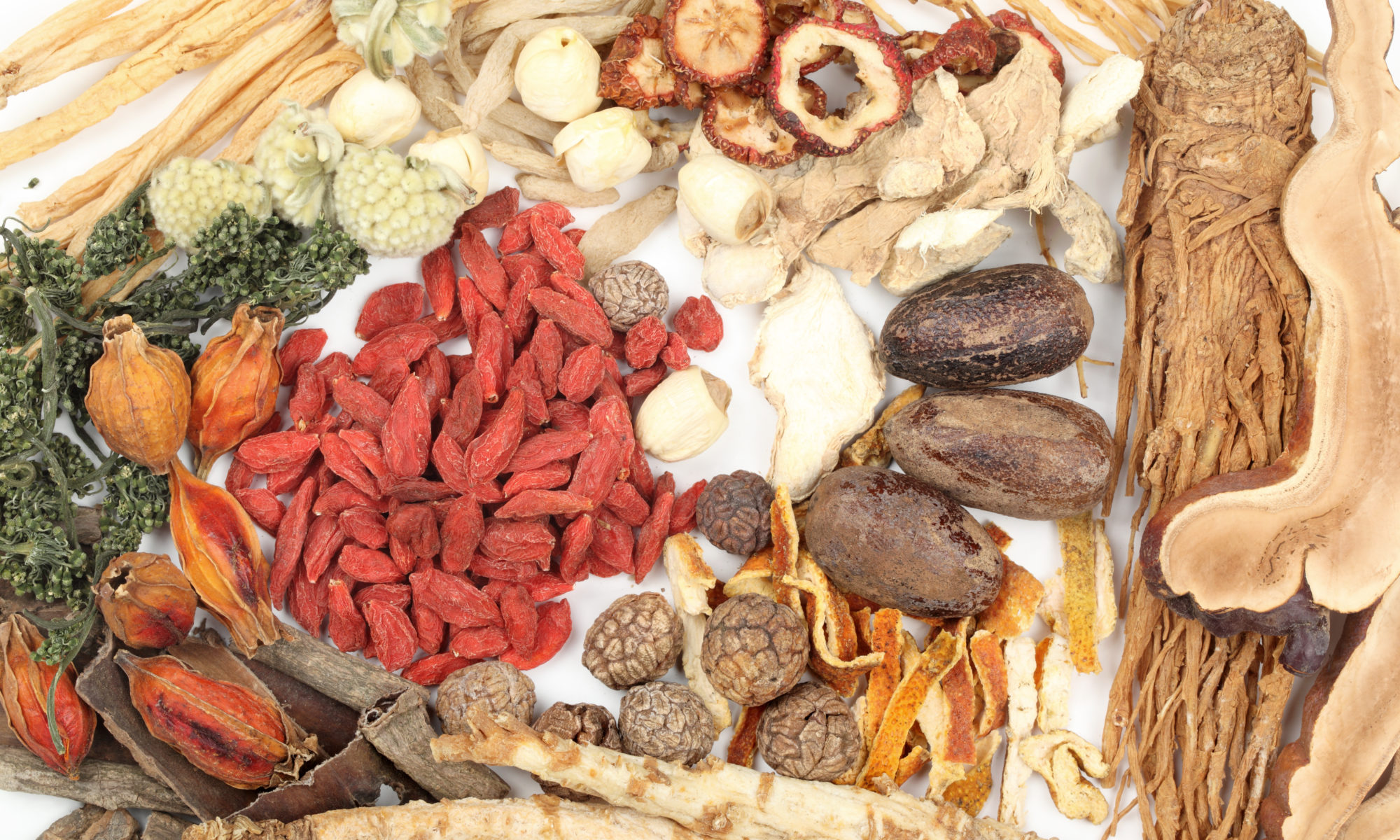 berries herbs & roots from Chinese Medicine