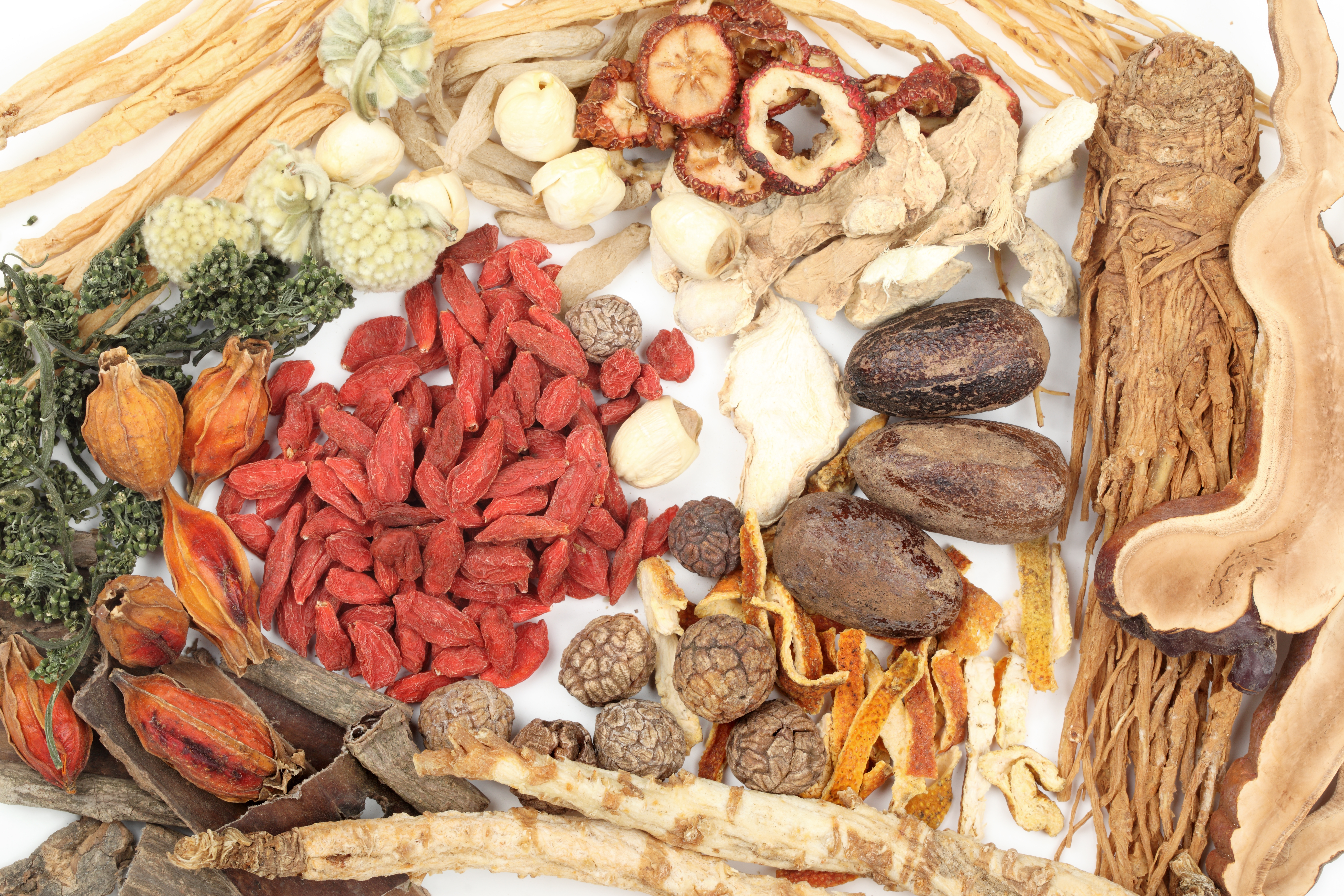 berries herbs & roots from Chinese Medicine
