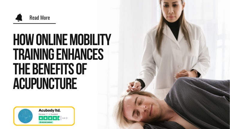 Online Mobility Training
